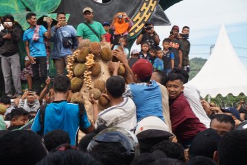 Hari ini, pertunjukan musik etnik hingga festival durian