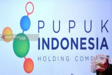 Tidak ada direksi Pupuk Indonesia yang terjaring OTT KPK