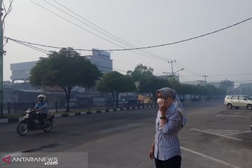 Kabut asap tipis selimuti Pekanbaru dan Dumai