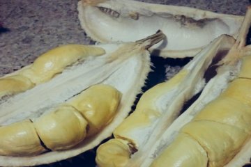 Durian Padang diburu pemudik di Palembang