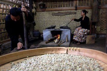 Produksi Kopi Tradisional