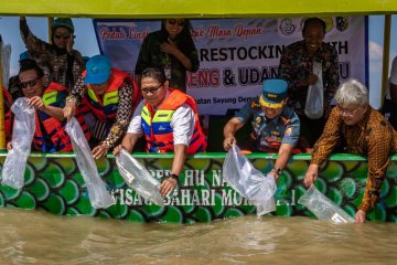 KKP tebar 150.000 benih bandeng dan udang di perairan Demak