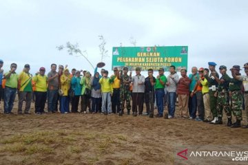 Pohon cemara udang dimanfaatkan atasi abrasi Pesisir Selatan-Sumbar