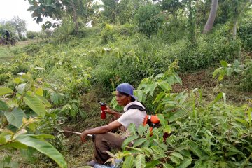 9.000 pohon berhasil ditanam melalui gerakan memungut sehelai sampah