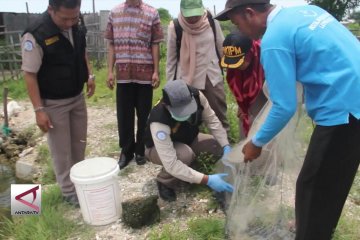 BKIPM Semarang rutin pantau sebaran penyakit ikan