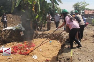 25 ton kentang berbakteri dimusnahkan di Semarang