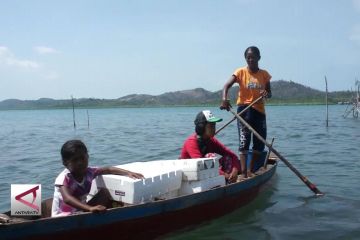 Mendayung Perahu Demi Memberikan Hak Suara