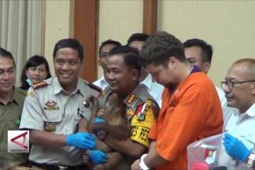 Warga Rusia ingin selundupkan orangutan lewat Bali