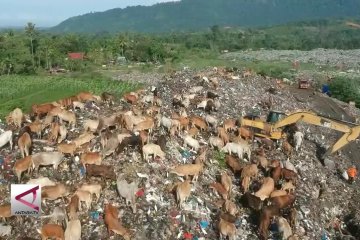 TPA Hampir Penuh, Pemprov Sumbar Siapkan TPA Regional