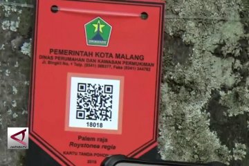 Pohon-Pohon di Kota Malang diberi KTP