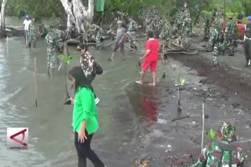 Aksi tanam 1000 mangrove, cegah abrasi pantai
