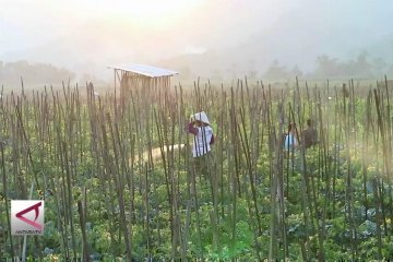 Harapan mantan TKI jelang pesta demokrasi