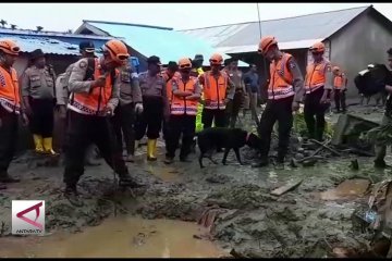 Polda Papua kerahkan 15 anjing pelacak cari korban banjir