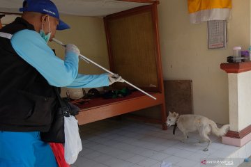 Vaksinasi anti rabies di Bali