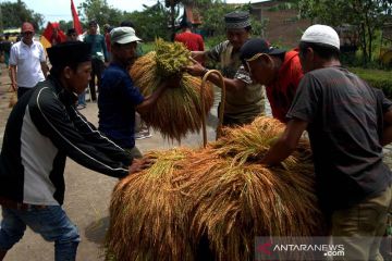 Pesta adat Katto Bokko