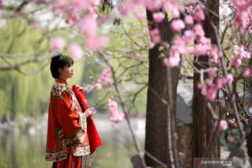 Festival Qingming Tomb-Sweeping di Beijing, Cina