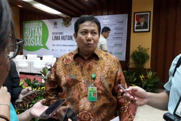 Pengelolaan hutan sosial disebut KLHK sangat bervariasi