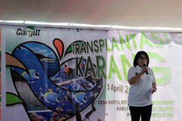 Aksi transplantasi terumbu karang di perairan Minahasa Selatan