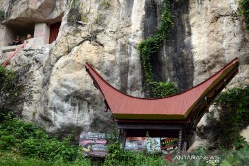 Merawat kultur budaya Toraja di tengah pesta demokrasi