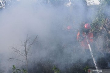 Belasan hektare lahan gambut pinggiran Kota Pekanbaru terbakar