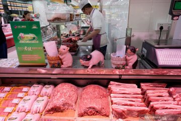 Otoritas China: Kemasan daging beku impor dari Brazil positif corona