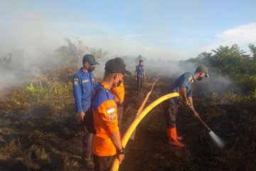 8 hektare lahan kelapa sawit terbakar di Aceh