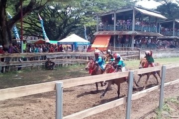 Joki-joki cilik ikut adu kebolehan di Festival Pesona Tambora