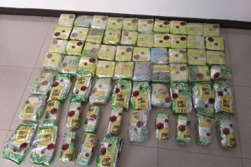 BNN tangkap dua penyelundup 64 kg narkoba dari Malaysia