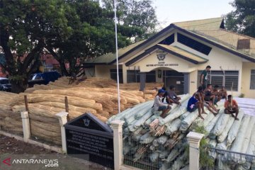 BC Bali gagalkan penyelundupan 104,4 ton rotan ke Timor Leste