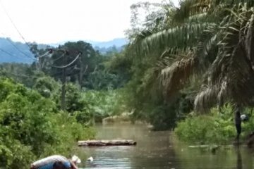 Banjir rendam 258 Jiwa  di Aceh Jaya