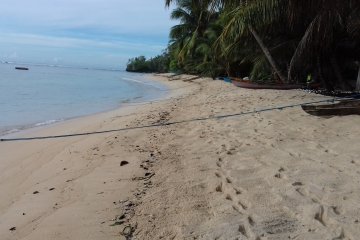 Nikmati kepuasan berselancar di Pantai Bido