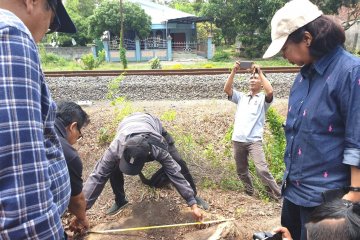 Memburu maling sonokeling spesialis jalur hijau