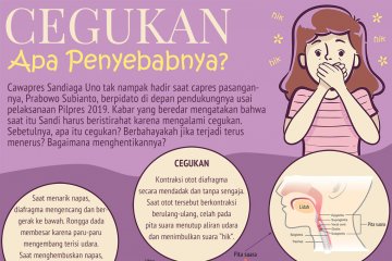 Cegukan apa penyebabnya?