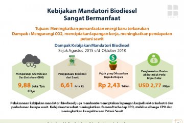 Indonesia tidak gentar lawan Eropa soal Biodiesel