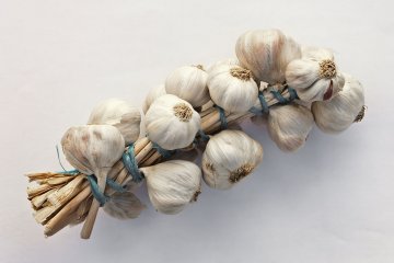 Kebijakan tolak impor bawang putih perkuat petani lokal