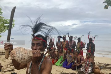 IPBES sebut perubahan lingkungan di wilayah adat lebih kecil