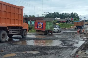 Jalan Lintas Timur Mesuji makin rusak parah