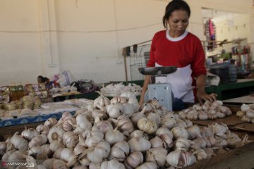 Bulog NTT hentikan operasi pasar bawang merah dan putih