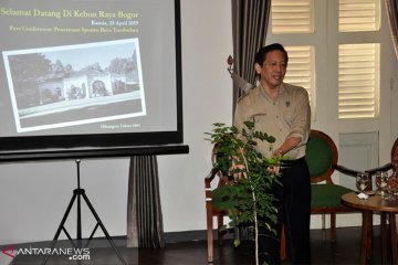 Kebun raya Bogor pamerkan puluhan jenis baru tumbuhan