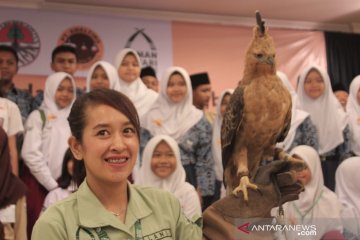 Taman Safari Bogor siapkan penangkaran khusus untuk elang jawa