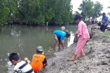 Wisata mangrove Ocone-Parimo dikenalkan pada peringatan hari bumi