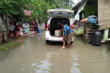 Banjir terjang ratusan hektare tambak ikan siap panen di Tangerang