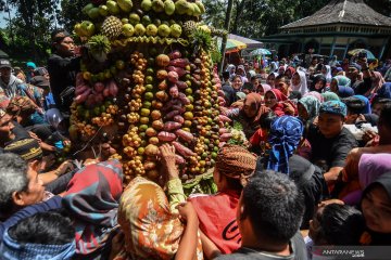 Tradisi gerebeg buah