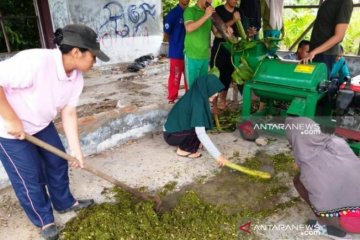 Polbangtan Medan kembangkan kompos berbahan eceng gondok