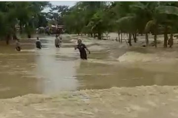 Jalan Trans Sulawesi di Pasangkayu putus