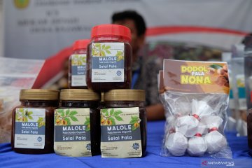 Pameran TEI 2019, Kemendag dorong ekspor produk organik