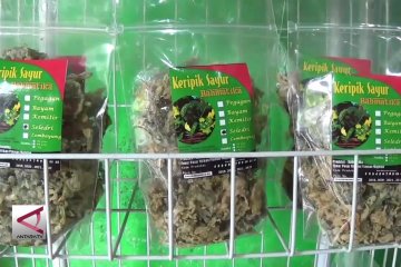 Gurihnya laba dari bisnis keripik daun kenikir