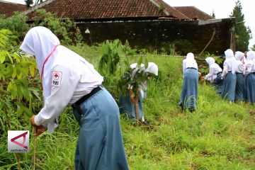 PMR Wira Kabupaten Batang tanam pohon mahoni