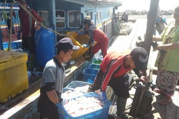 Tangkapan nelayan Pandeglang pascatsunami meningkat