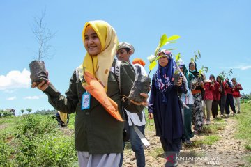 Kawasan geotermal Gunung Seulawah ditanami ratusan pohon